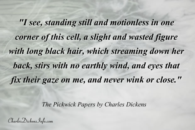 The Pickwick Papers Quotes