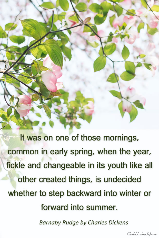 Random Quotes